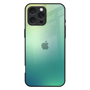 Dusty Green Glass Case for iPhone 16 Pro Max Luxury Look Smooth Outline