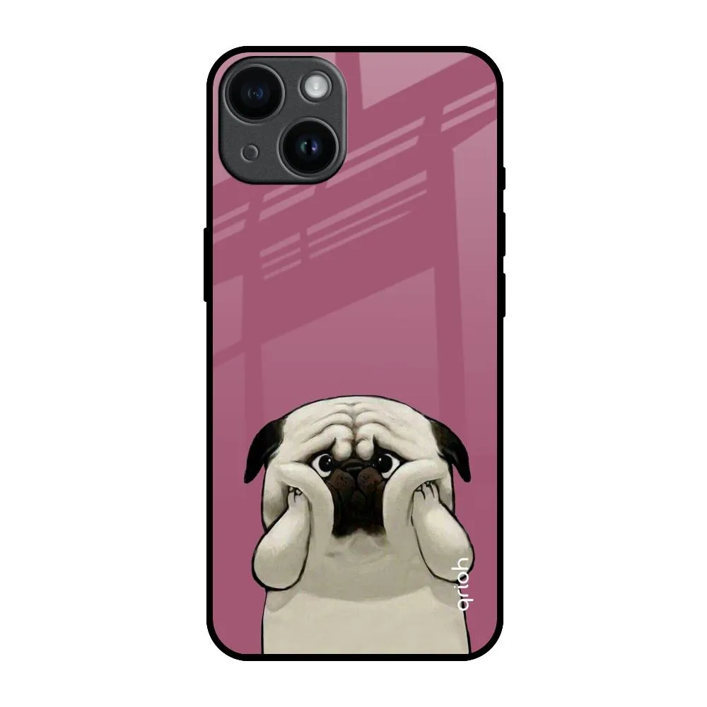 Wireless Compatible Funny Pug Face Glass Case For iPhone 14