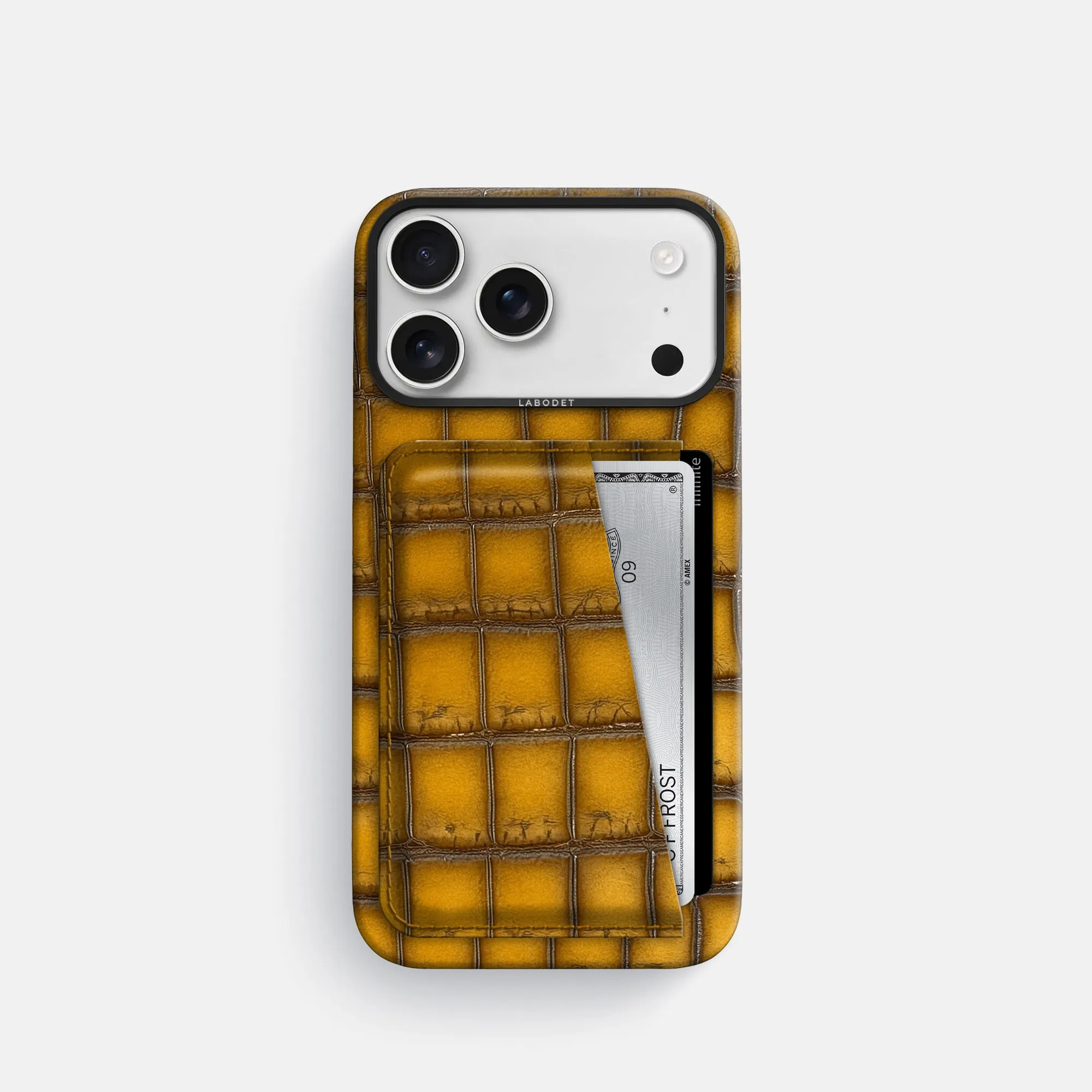 Double Card Case For iPhone 17 Pro In Patina Alligator Minimalist Aesthetic Patterned Design