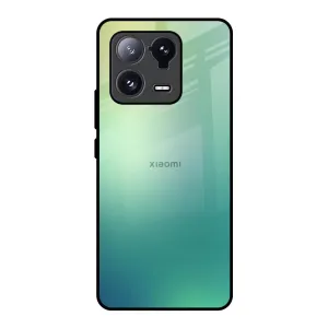 Printed Artwork Dusty Green Glass Case for Mi 13 Pro