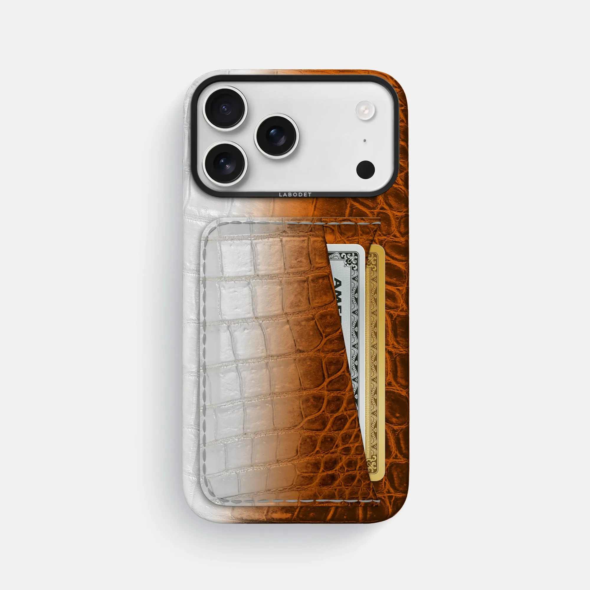 Modern Texture Clear Frame Double Card Case For iPhone 17 Pro Max In Himalayan Crocodile